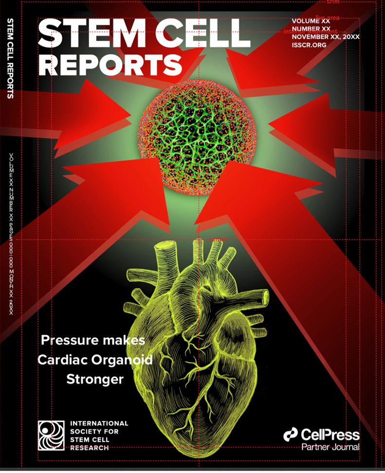 Stem Cell Reports表紙